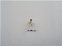 藏品(尺蠖蛾科)的圖片